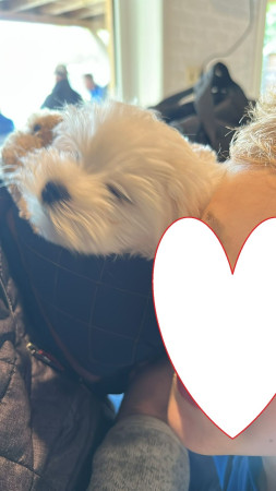 27-9-25 Graham als mascotte mee naar de voetbal en ja gewonnen ☺☺☺